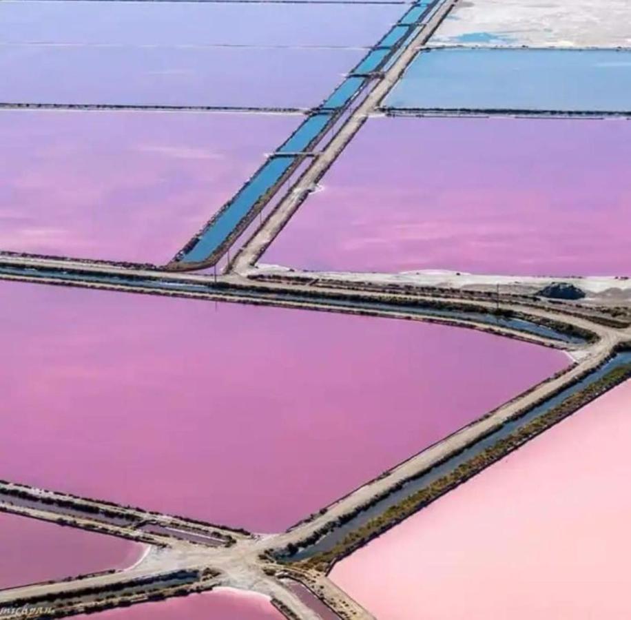 Le soupir des palmiers. Idéal couple, piscine, mer La Grande Motte Extérieur photo