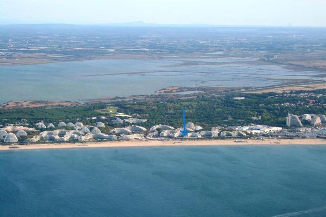 Le soupir des palmiers. Idéal couple, piscine, mer La Grande Motte Extérieur photo